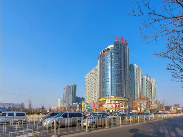 广东小青柑茶批发